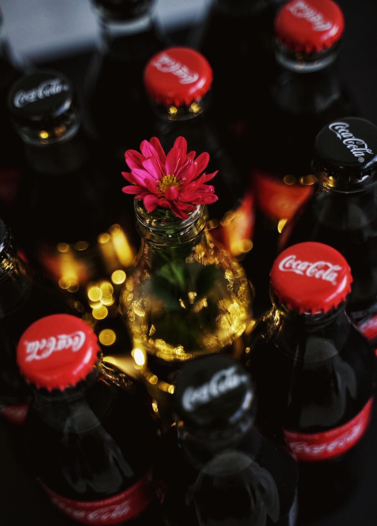 Coca-Cola investe nella plastica realizzata al 100% da fonti vegetali