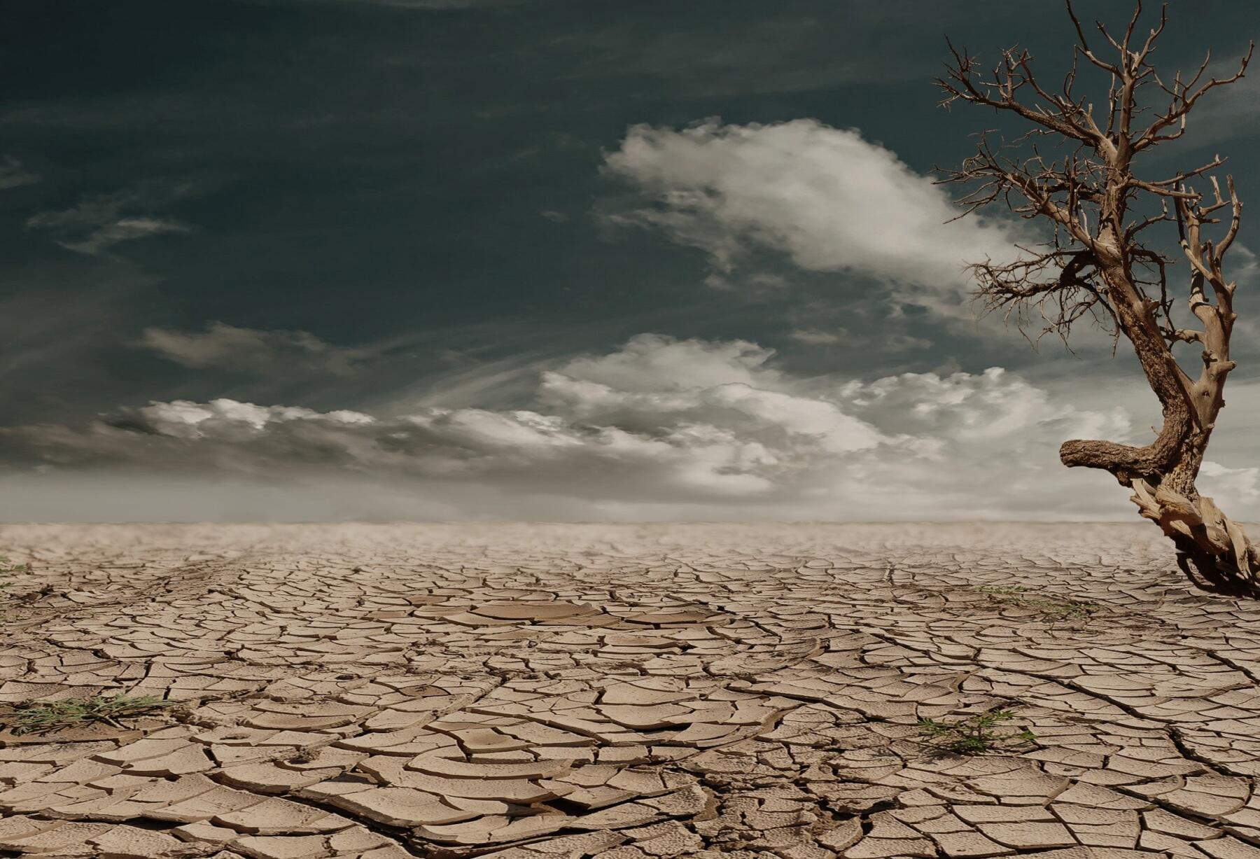 EIOPA: ancora basso il livello di copertura assicurativa per i danni legati al climate change
