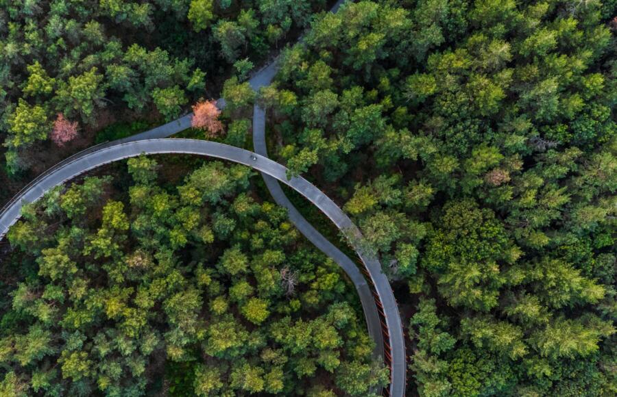 economia circolare | ESG News