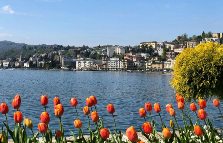 Lugano Banca Generali | ESG News