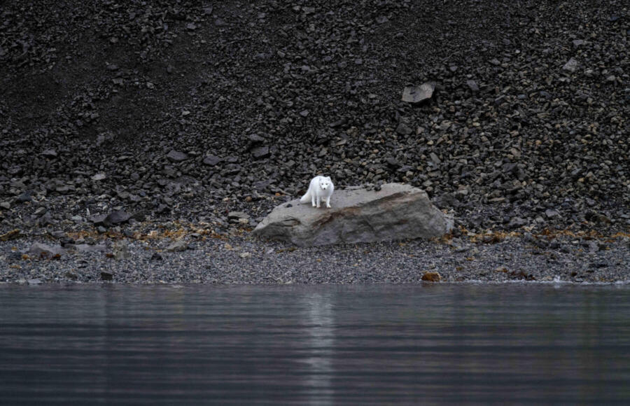 Time To Change Banca Generali | ESG News