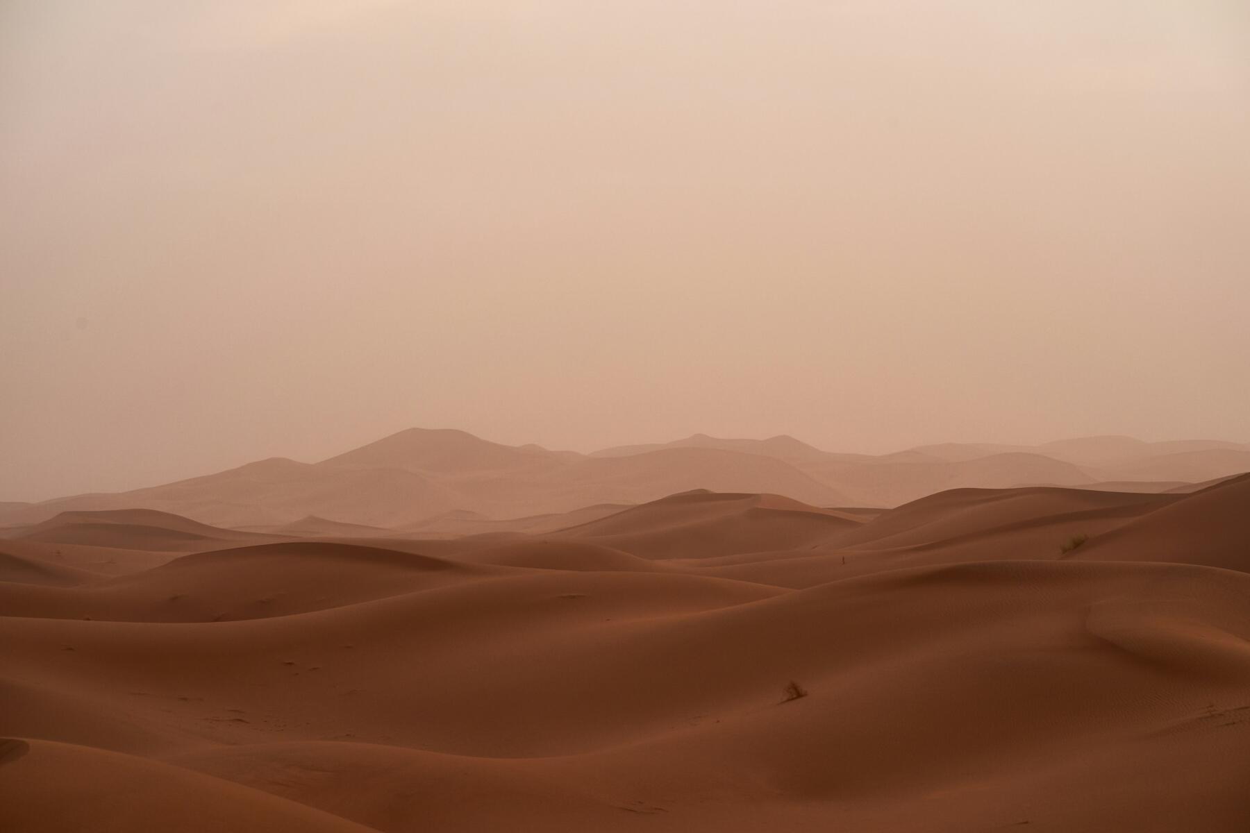 polveri sottili deserto | ESGnews