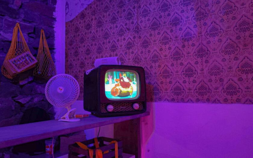 watermelon animazione B Corp | ESG News