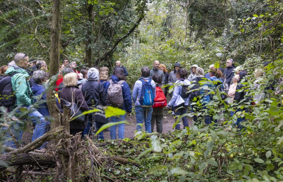 FORESTAMI ACADEMY SALUTE NATURA | ESG News