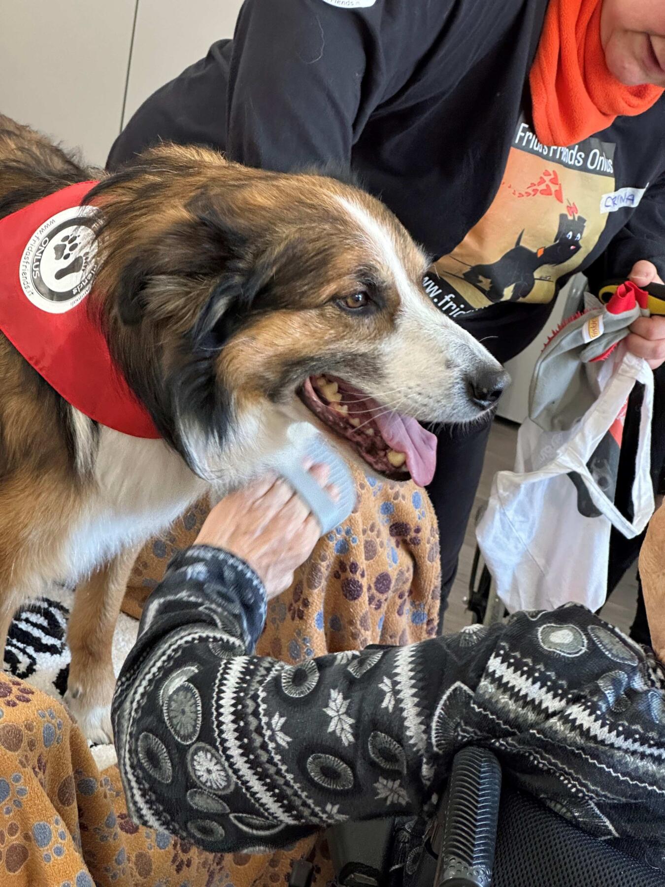 Purina pet therapy Monza | ESGnews