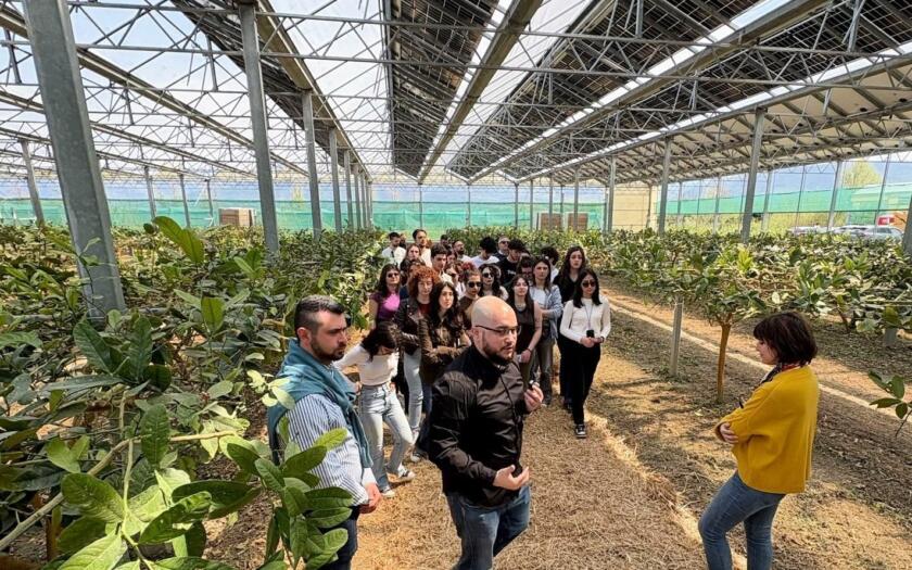 AIAS Convivio Agrivoltaico | ESGnews