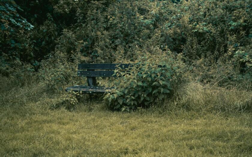 ISPRA ROCKS | ESGnews