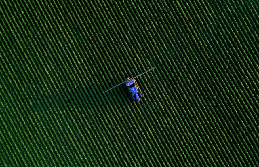 Microsoft agricoltura sostenibile | ESGnews