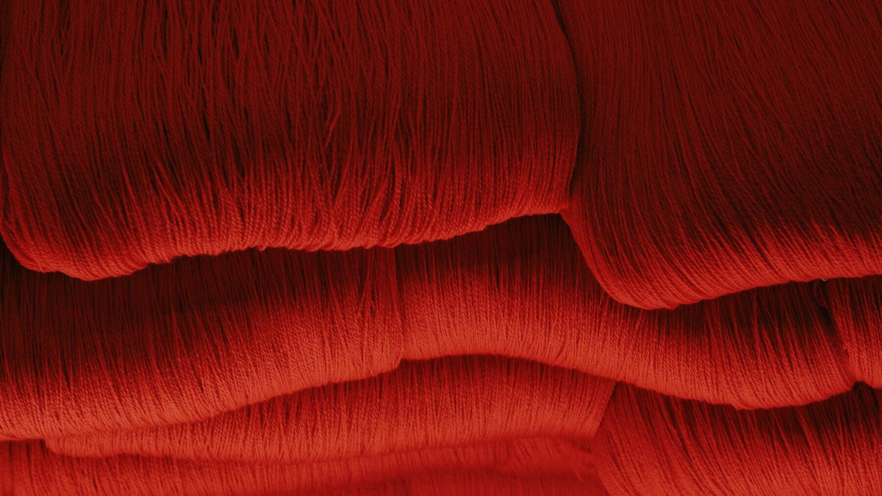 ZBLB Cashwool | ESGnews