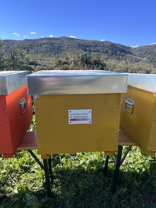 Case per le api Despar | ESGnews