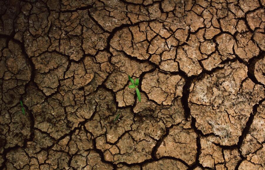 Intelligenza artificiale scarsità d'acqua | ESGnews