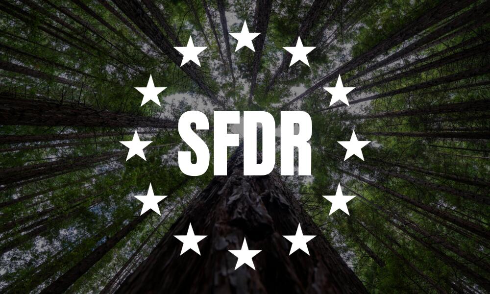 SFDR revisione