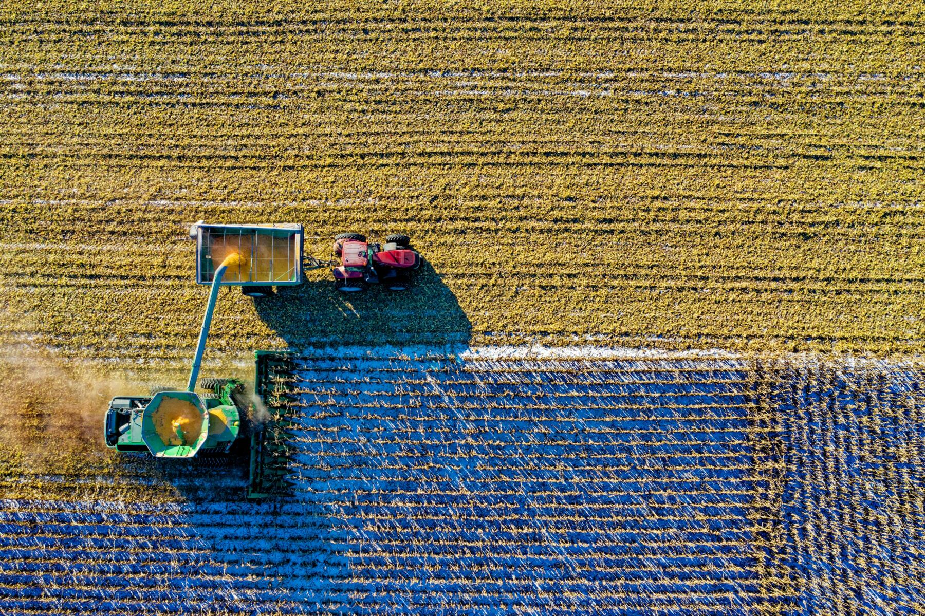 agririsk management
