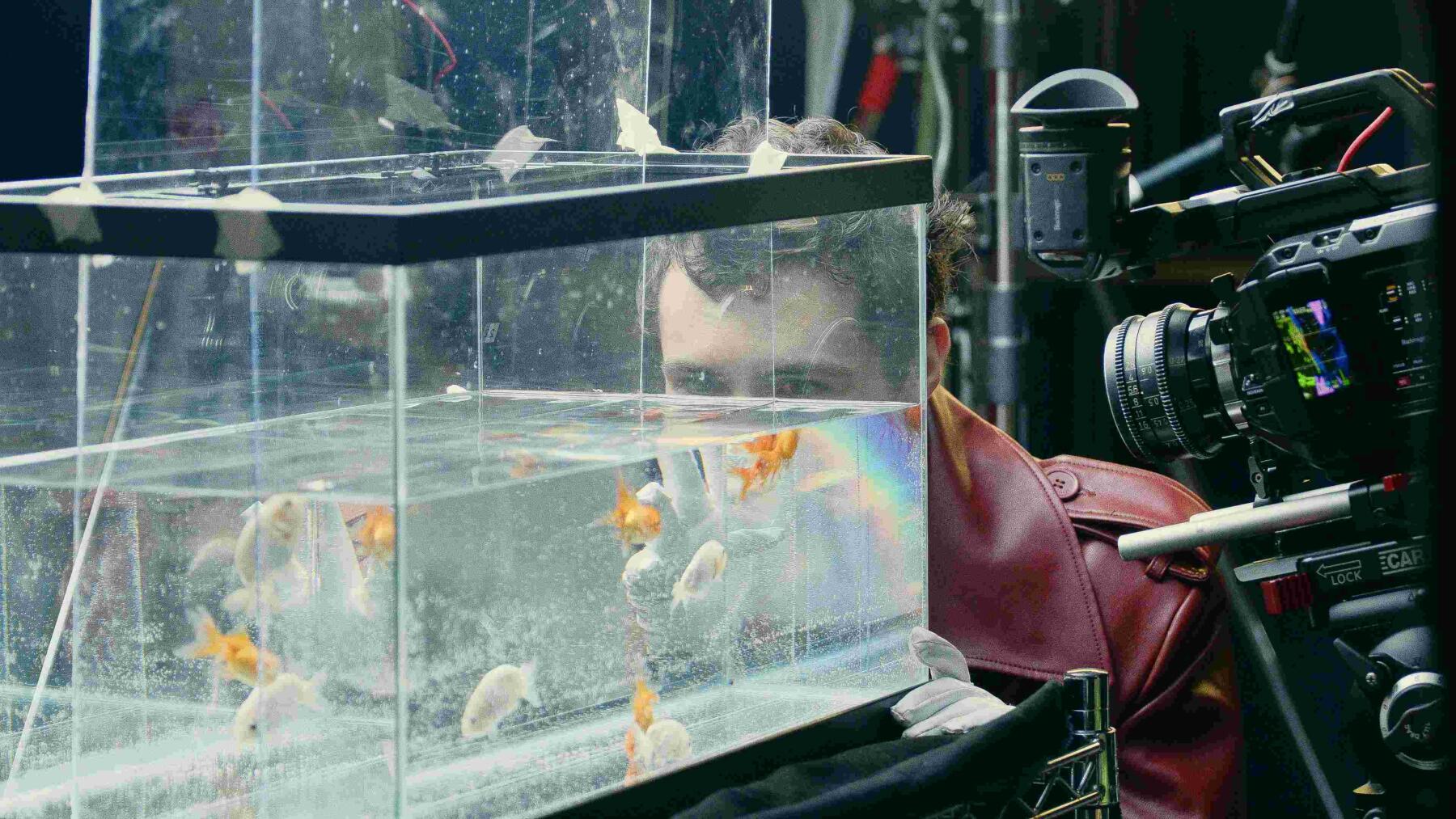 Backstage_L'archivio del Domani