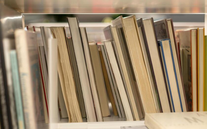 Algoritmo IA |ESG news