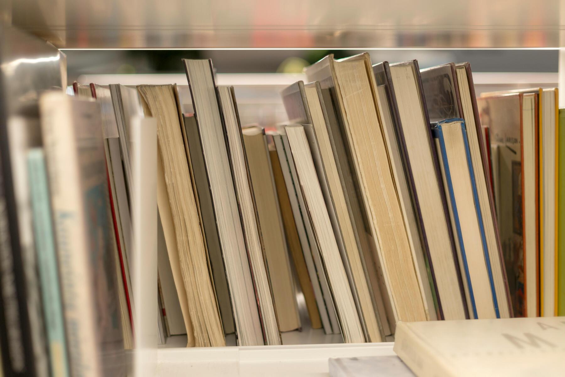 Algoritmo IA |ESG news