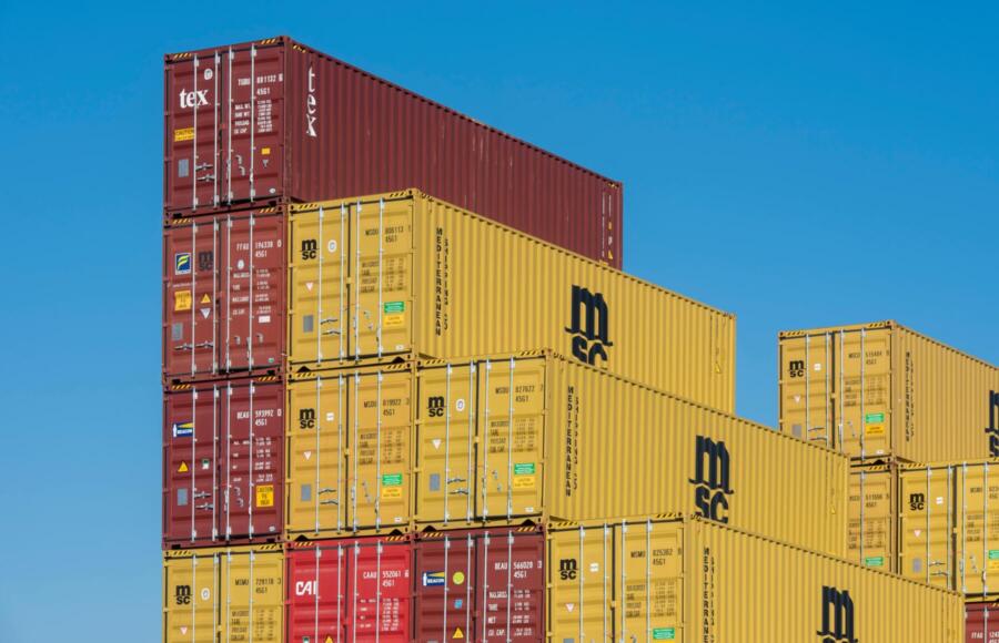 Geckomile: la startup che rende sostenibile l’eCommerce | ESG News