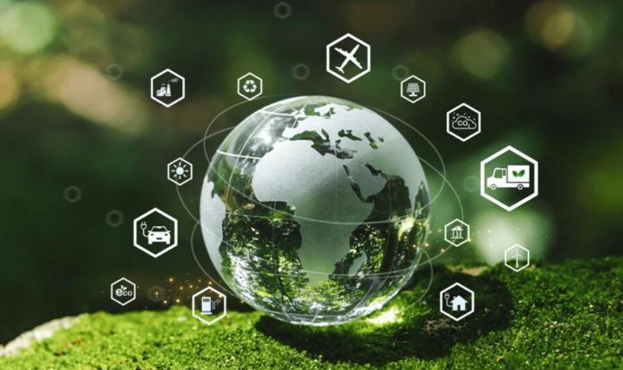 bureau veritas