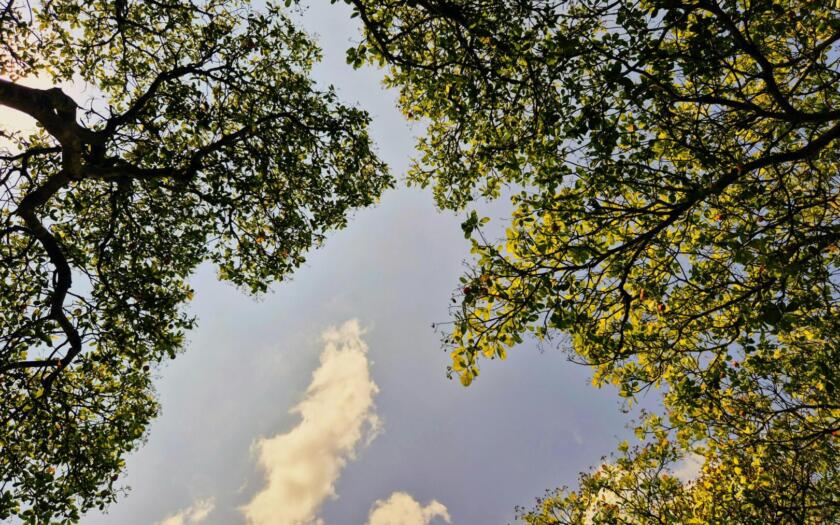 Giornata mondiale dell'Ambiente