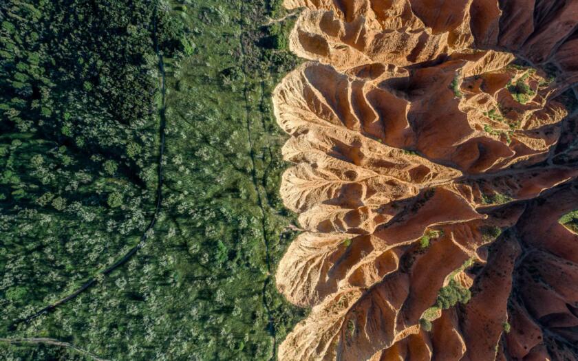 Rischio biodivesrità nei portafogli | ESGNews