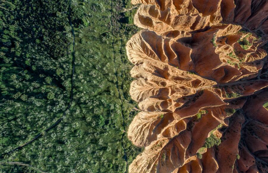 Rischio biodivesrità nei portafogli | ESGNews