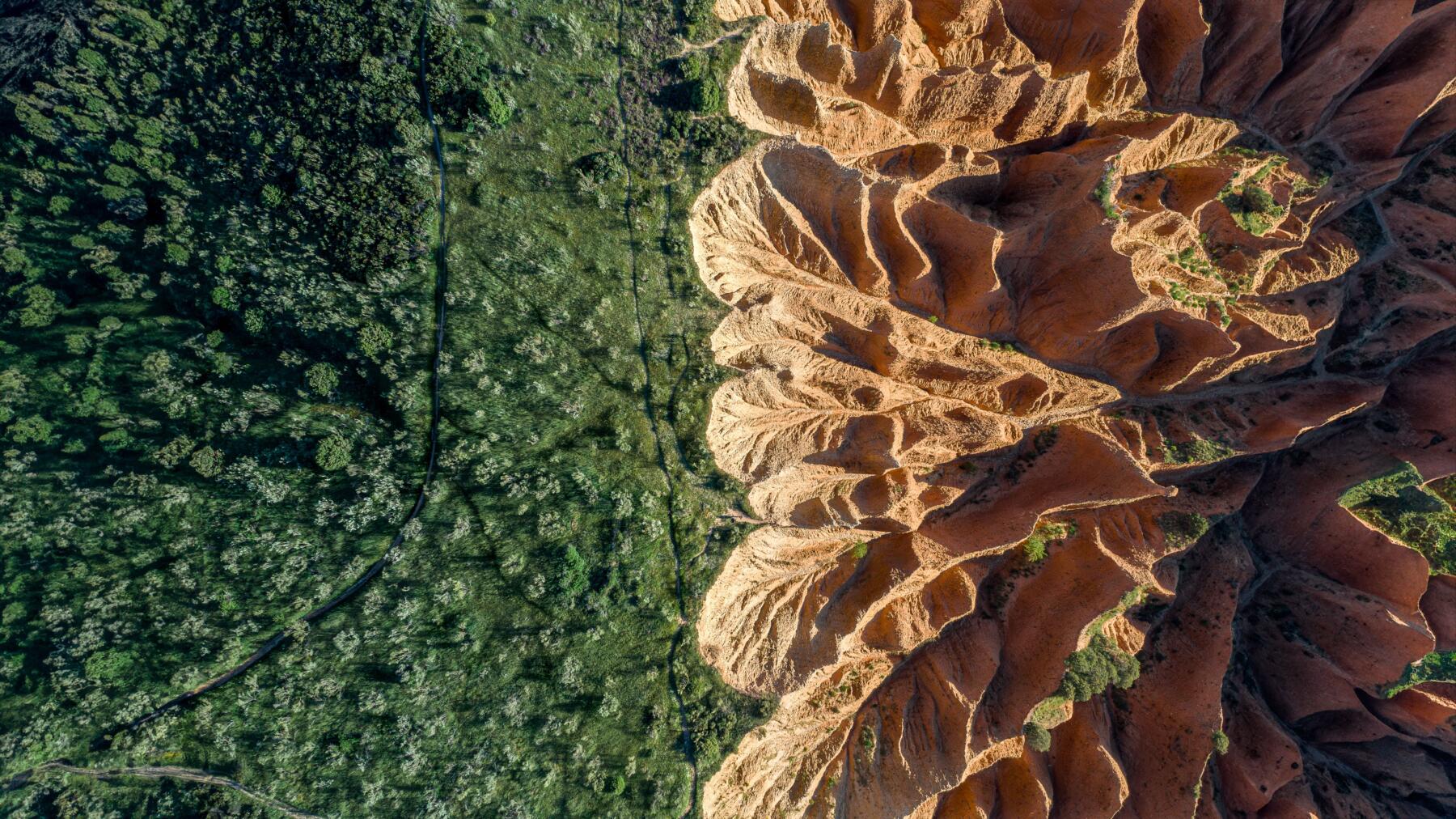 Rischio biodivesrità nei portafogli | ESGNews